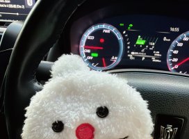 ����������Υĥ�����