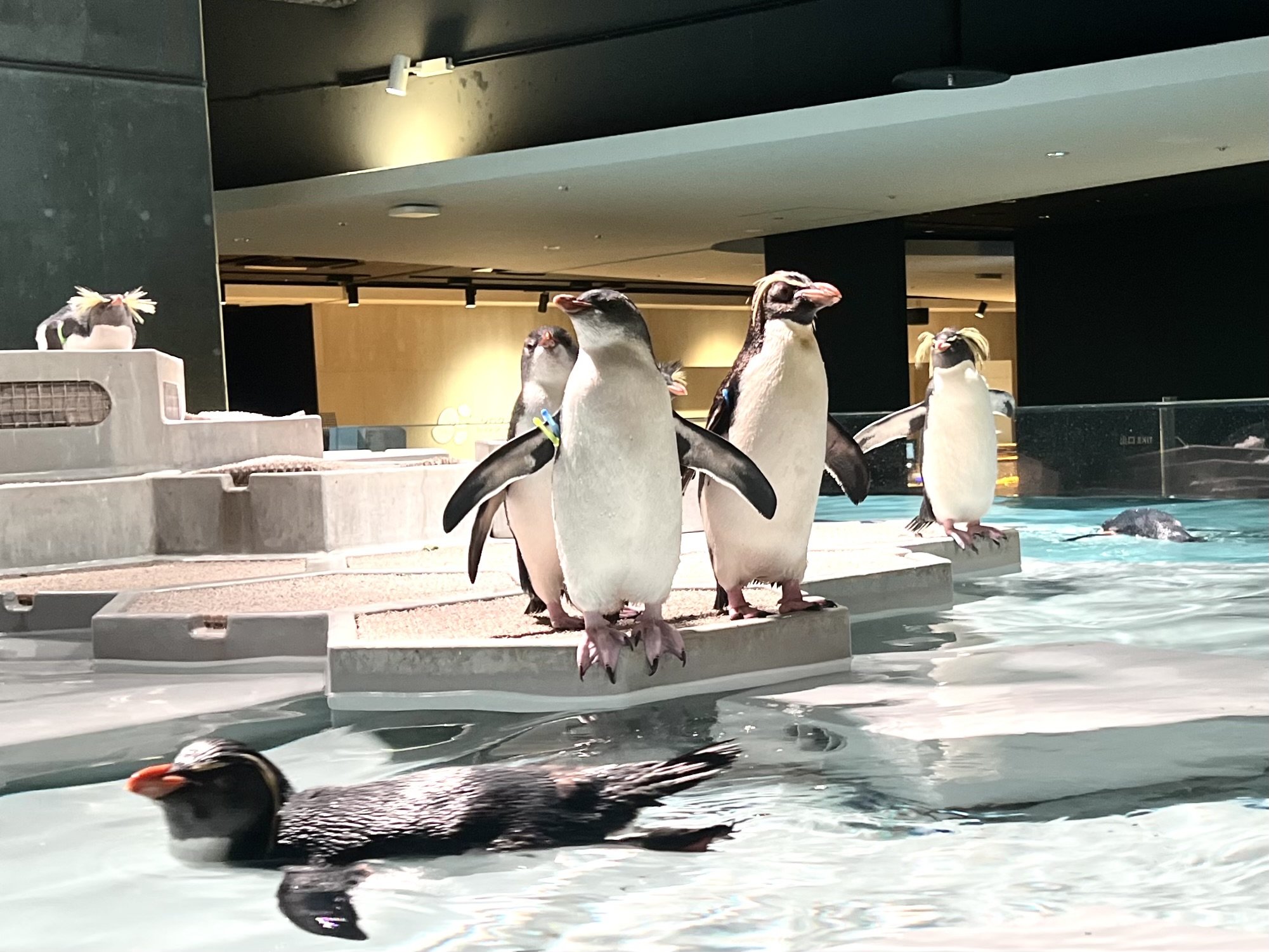 ����������Υĥ�����