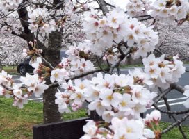 みな美ちゃんのツイート