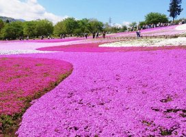 �ߤ��������Υĥ�����