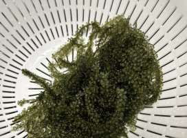 ��ʤ����Υĥ�����