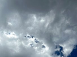 りなちゃんのツイート