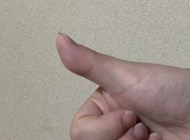 白雪ななちゃんのツイート