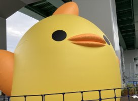 ���ޤ�������Υĥ�����