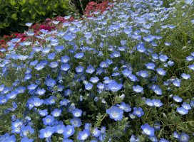 ���ȡ�:�����Υĥ�����