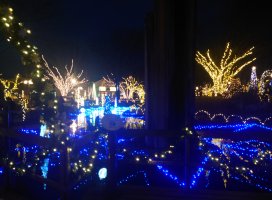 �椦�� �������Υĥ�����