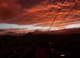 �椦�� �������Υĥ�����