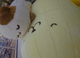 �椦�� �������Υĥ�����