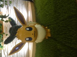 �椦�� �������Υĥ�����