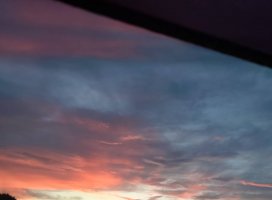 �椦�� �������Υĥ�����