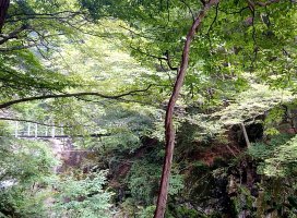 �椦�� �������Υĥ�����