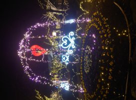 �椦�� �������Υĥ�����