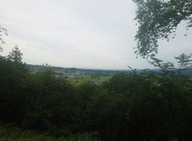 �椦�� �������Υĥ�����