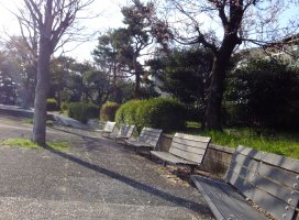 �椦�� �������Υĥ�����