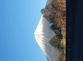 �椦�� �������Υĥ�����