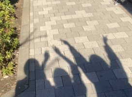 �椦�� �������Υĥ�����