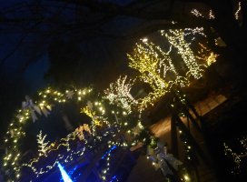 �椦�� �������Υĥ�����