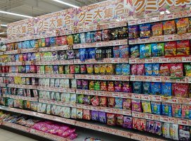 �椦�� �������Υĥ�����