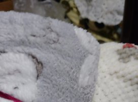 �椦�� �������Υĥ�����