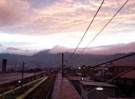 �椦�� �������Υĥ�����