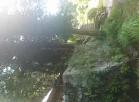 ゆうの ♪ちゃんのツイート