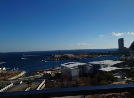 �椦�� �������Υĥ�����