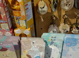 �椦�� �������Υĥ�����