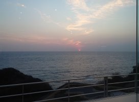 ゆうの ♪ちゃんのツイート