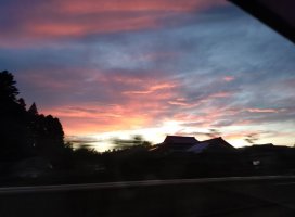 �椦�� �������Υĥ�����