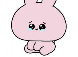 �ꤵ���������Υĥ�����