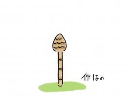 �Ϥ�*.+�������Υĥ�����