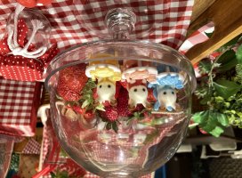 はの*.+゜ちゃんのツイート