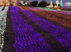 ����///�������Υĥ�����