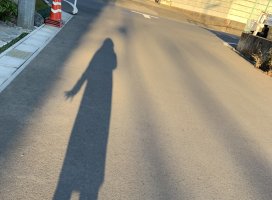 ユキ*゚ちゃんのツイート