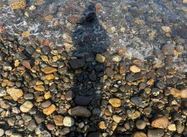 伽耶(かや)ちゃんのツイート