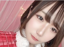 �ܤ�ʡ�*�������Υĥ�����