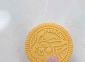 �ܤ�ʡ�*�������Υĥ�����