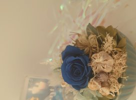 しおり::ちゃんのツイート