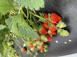 ��ǵ*���������Υĥ�����