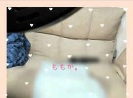 ももかちゃんのツイート