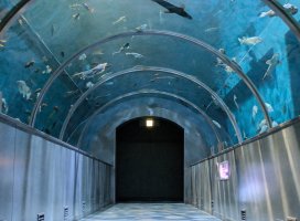 �������Υĥ�����