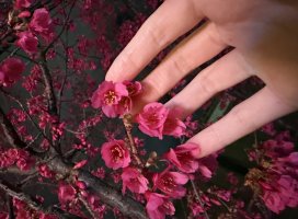 ����..�����Υĥ�����