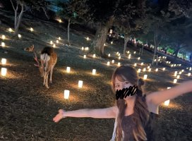 meiちゃんのツイート