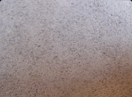 ����ޤ�ʤ����Υĥ�����