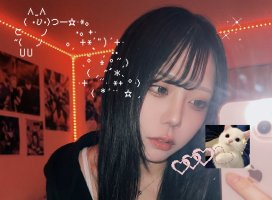 *������ʡ������Υĥ�����