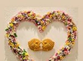 �ޤ������Υĥ�����