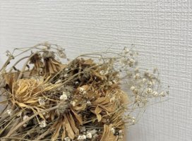 �Ҥ������Υĥ�����