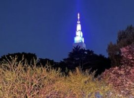 彡りさ+ちゃんのツイート