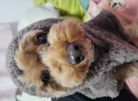 彡りさ+ちゃんのツイート