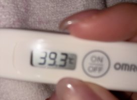 �꤫.�������Υĥ�����